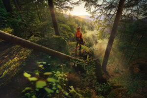 Stihl