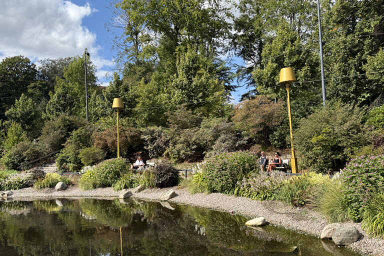 Halmstad_NorreKatt